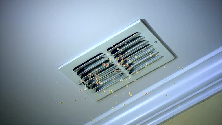 Best HVAC Duct Inspection Services  in Cimarron Hills, CO